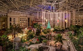 Gaylord Palms Hotel Kissimmee Fl